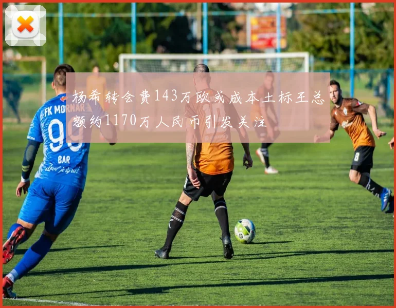 杨希转会费143万欧或成本土标王总额约1170万人民币引发关注